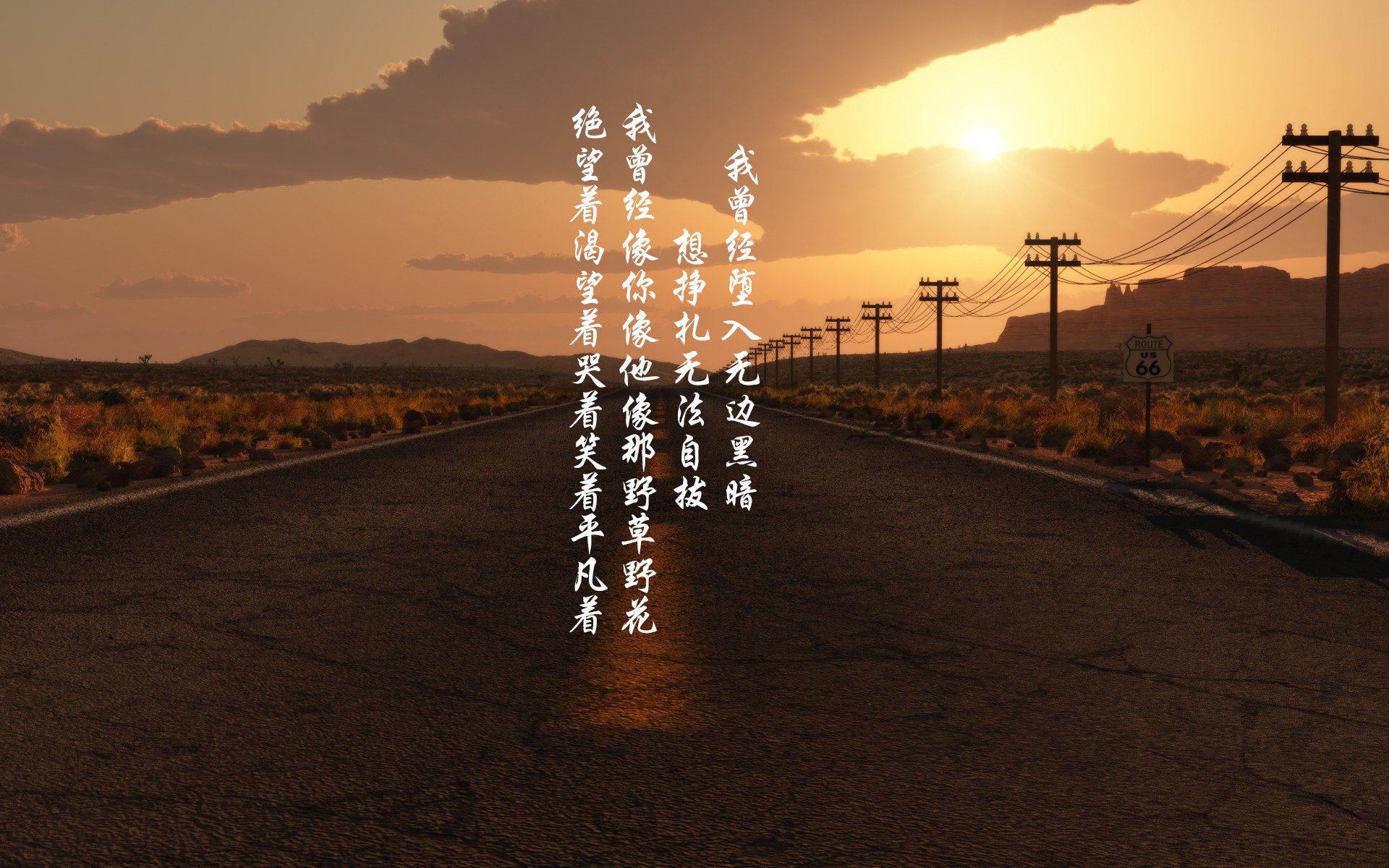 WRC失误瞬间：车手如何应对挫折？，wrc车手技术