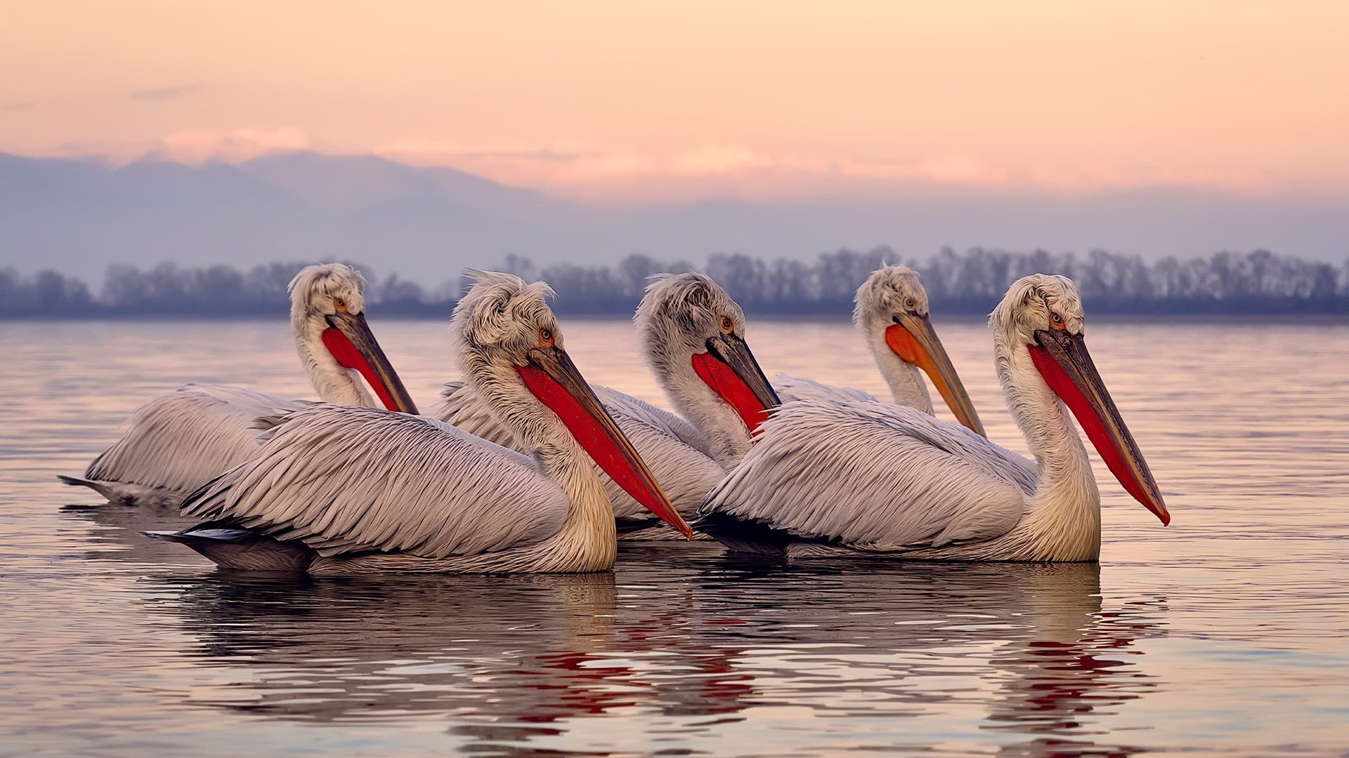 “篮球+阅读”公益活动在全国多地同步展开,推动文化育人,篮球公益课流程