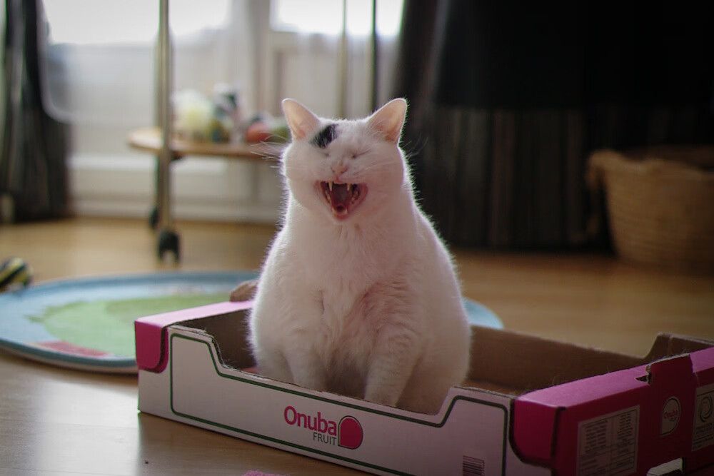 【虚拟裁判试点】技术革命能否彻底改变裁判判决？