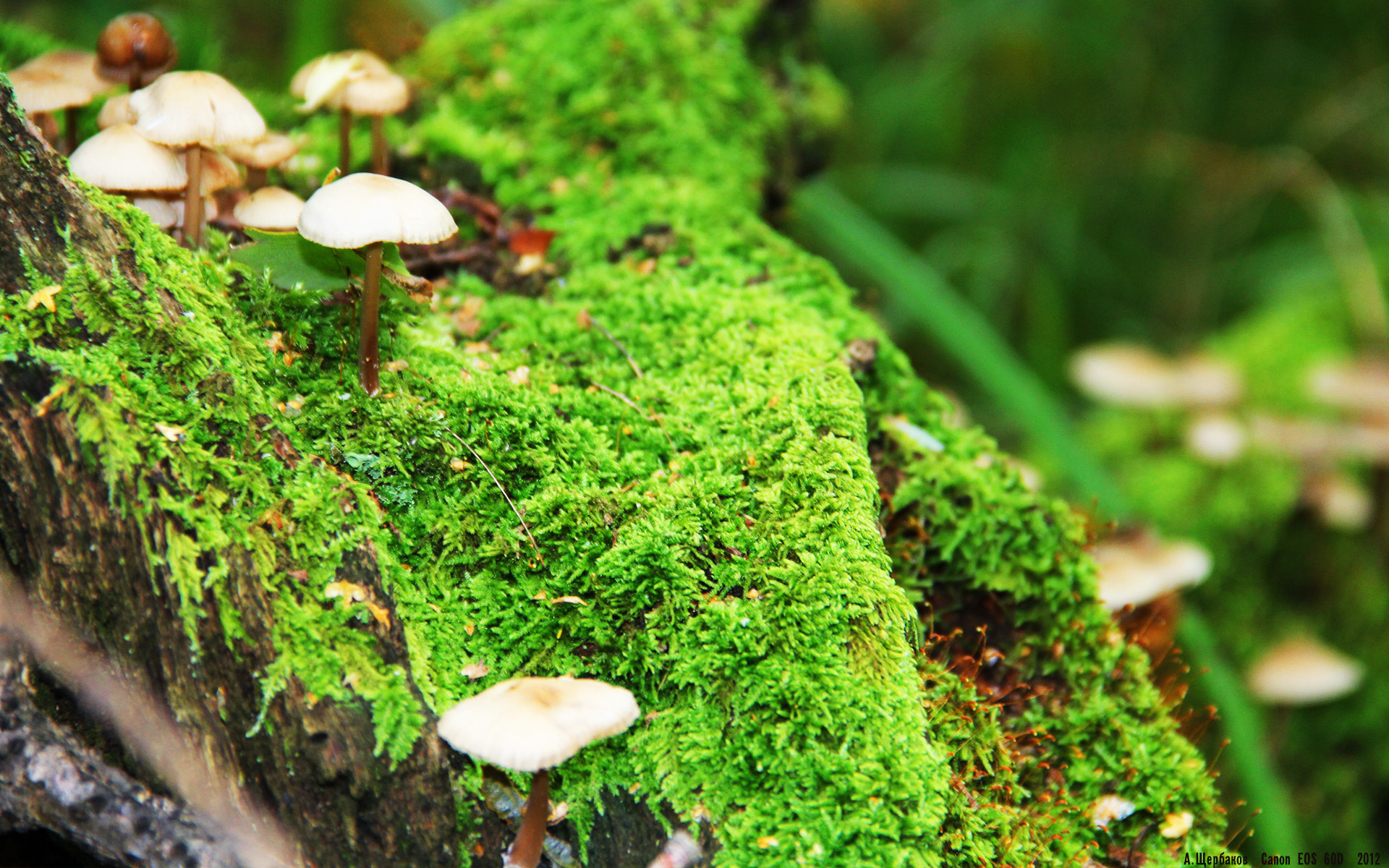 【训练技巧】从丁俊晖到青训营:青少年攻防实战训练全揭秘