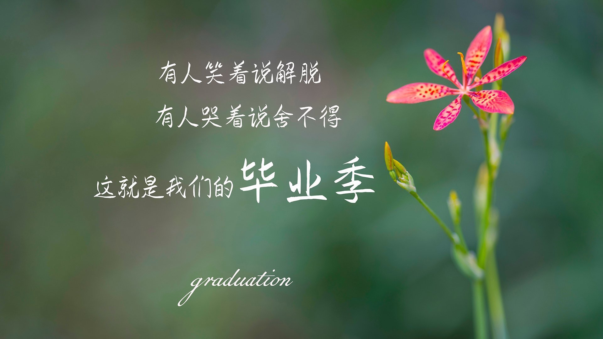 全国青训示范队伍评比正式启动，行业竞争更具公平性，中国青训计划