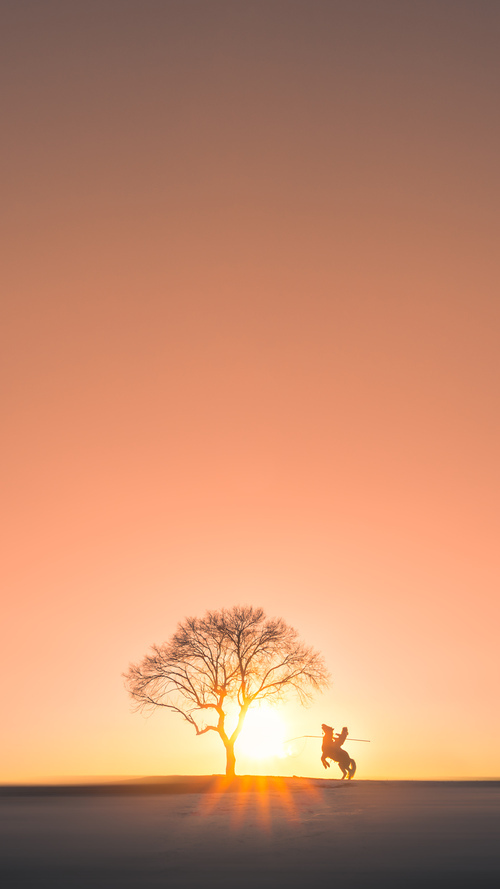 开云·体育官方网站入口-史上最年轻“冠军新星”初登欧冠舞台，最年轻欧冠进球